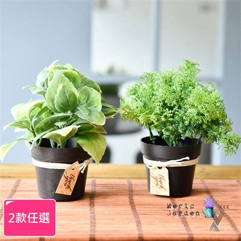 假植栽|仿真植物栽盆/擺飾 